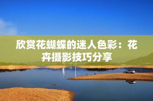 欣赏花蝴蝶的迷人色彩：花卉摄影技巧分享