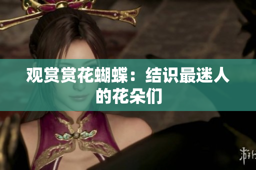 观赏赏花蝴蝶：结识最迷人的花朵们