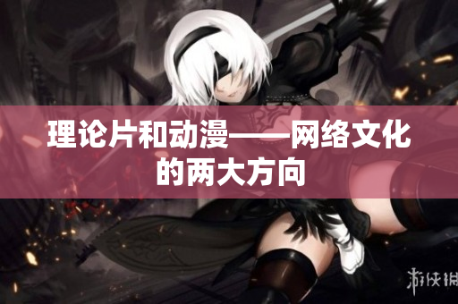 理论片和动漫——网络文化的两大方向