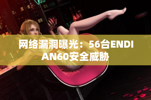 网络漏洞曝光：56台ENDIAN60安全威胁