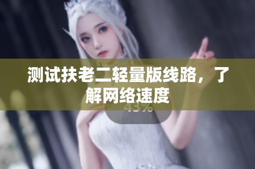 测试扶老二轻量版线路，了解网络速度
