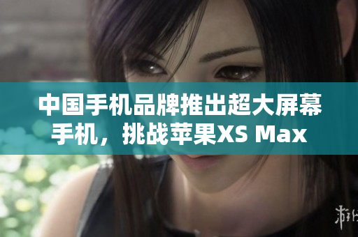 中国手机品牌推出超大屏幕手机，挑战苹果XS Max