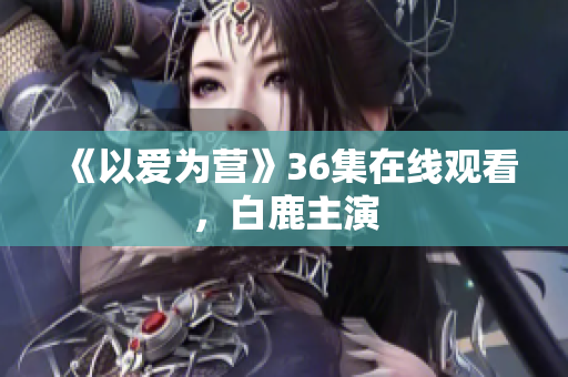 《以爱为营》36集在线观看，白鹿主演