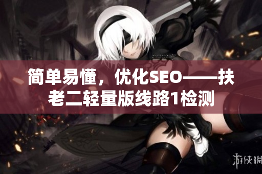简单易懂，优化SEO——扶老二轻量版线路1检测