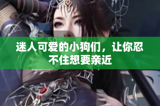 迷人可爱的小狗们，让你忍不住想要亲近