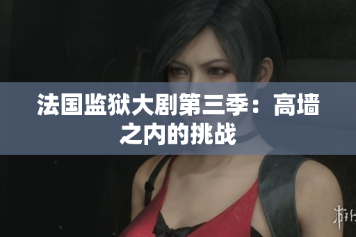 法国监狱大剧第三季：高墙之内的挑战