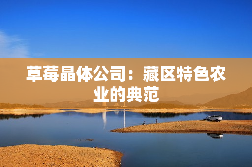 草莓晶体公司：藏区特色农业的典范