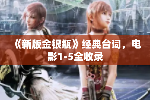 《新版金银瓶》经典台词，电影1-5全收录