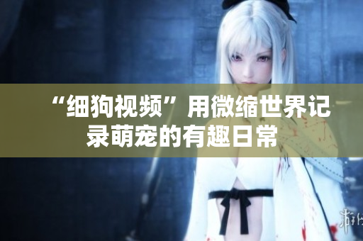 “细狗视频”用微缩世界记录萌宠的有趣日常