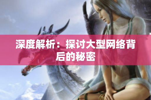 深度解析：探讨大型网络背后的秘密
