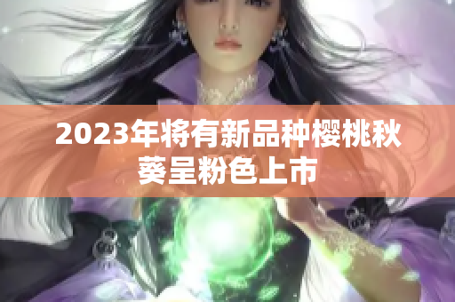 2023年将有新品种樱桃秋葵呈粉色上市
