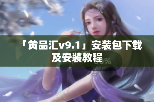 「黄品汇v9.1」安装包下载及安装教程