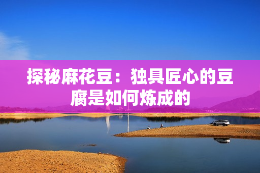 探秘麻花豆：独具匠心的豆腐是如何炼成的