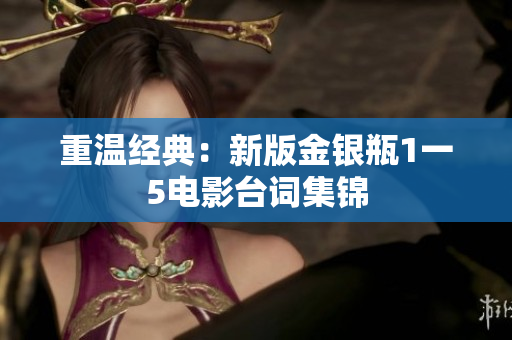 重温经典：新版金银瓶1一5电影台词集锦
