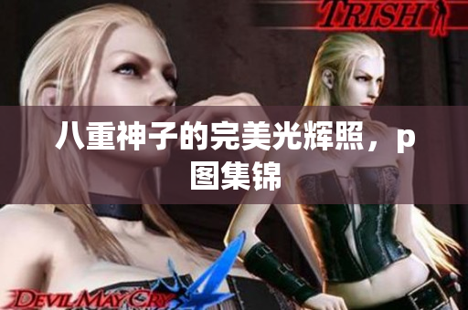 八重神子的完美光辉照，p图集锦