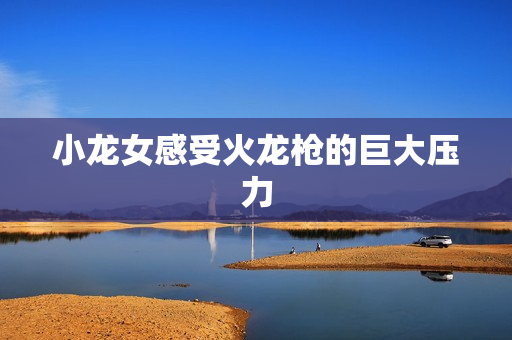 小龙女感受火龙枪的巨大压力