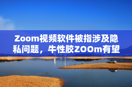 Zoom视频软件被指涉及隐私问题，牛性胶ZOOm有望成替代品