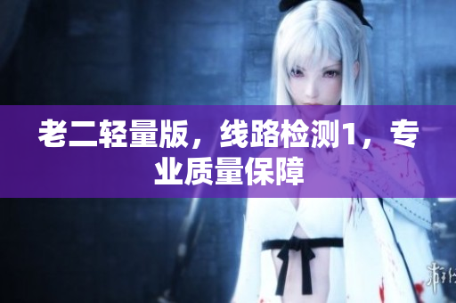 老二轻量版，线路检测1，专业质量保障