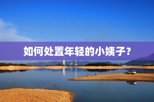 如何处置年轻的小姨子？