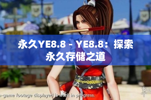 永久YE8.8 - YE8.8：探索永久存储之道