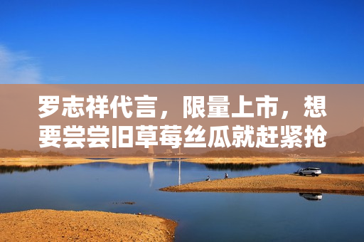 罗志祥代言，限量上市，想要尝尝旧草莓丝瓜就赶紧抢购啦！