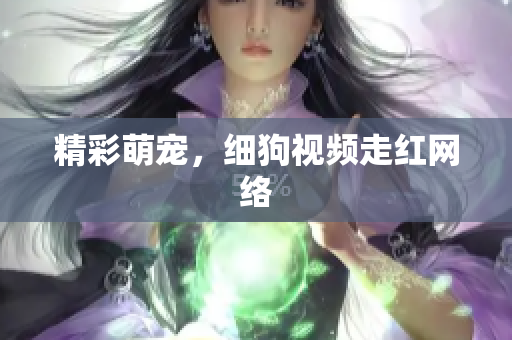 精彩萌宠，细狗视频走红网络