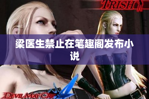 梁医生禁止在笔趣阁发布小说