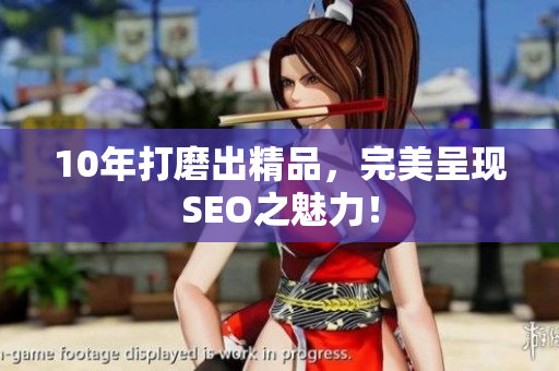 10年打磨出精品，完美呈现SEO之魅力！