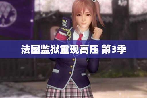 法国监狱重现高压 第3季