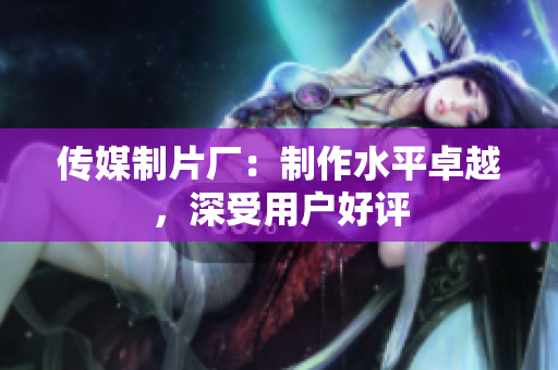 传媒制片厂：制作水平卓越，深受用户好评
