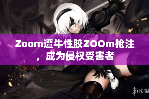 Zoom遭牛性胶ZOOm抢注，成为侵权受害者