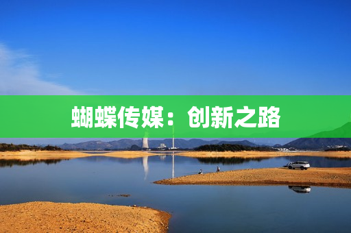 蝴蝶传媒：创新之路
