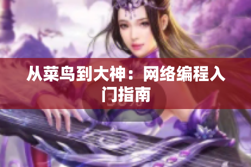从菜鸟到大神：网络编程入门指南