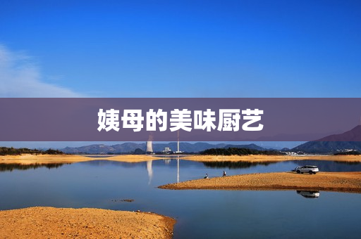 姨母的美味厨艺