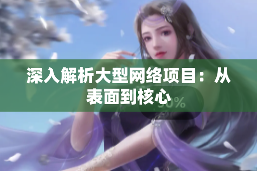 深入解析大型网络项目：从表面到核心