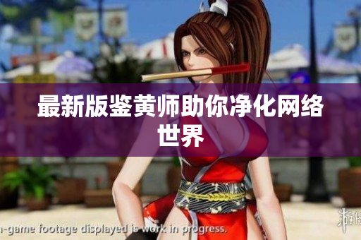 最新版鉴黄师助你净化网络世界