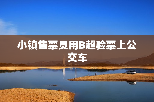 小镇售票员用B超验票上公交车