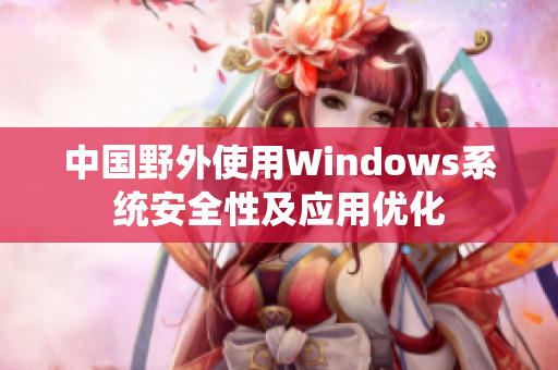 中国野外使用Windows系统安全性及应用优化