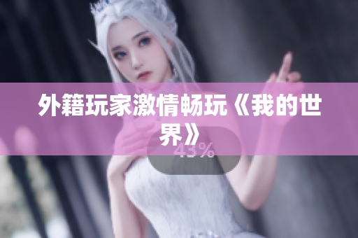 外籍玩家激情畅玩《我的世界》
