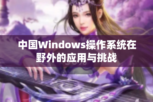中国Windows操作系统在野外的应用与挑战
