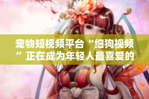 宠物短视频平台“细狗视频”正在成为年轻人最喜爱的社交网络