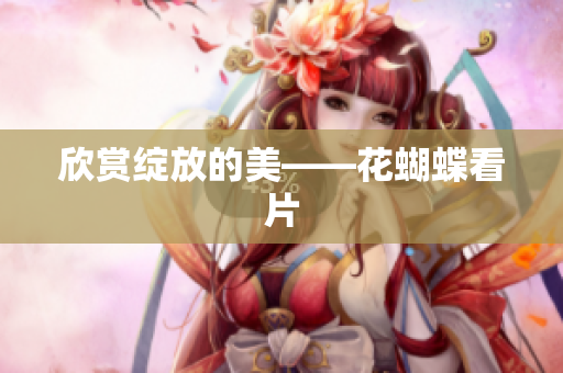 欣赏绽放的美——花蝴蝶看片