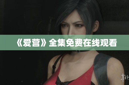《爱营》全集免费在线观看