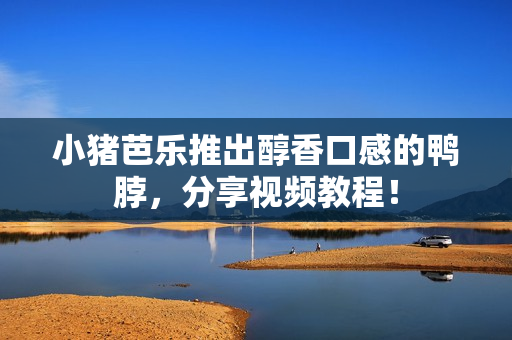 小猪芭乐推出醇香口感的鸭脖，分享视频教程！