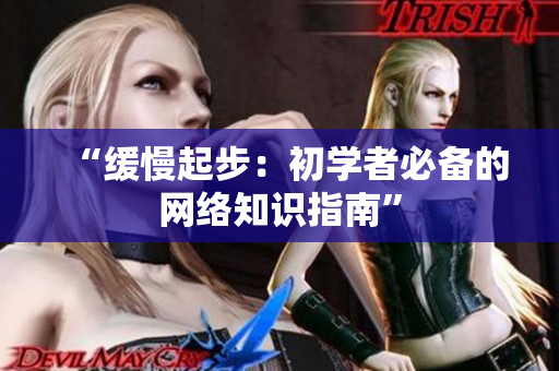 “缓慢起步：初学者必备的网络知识指南”