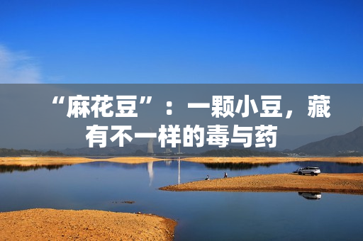 “麻花豆”：一颗小豆，藏有不一样的毒与药