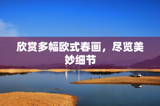 欣赏多幅欧式春画，尽览美妙细节
