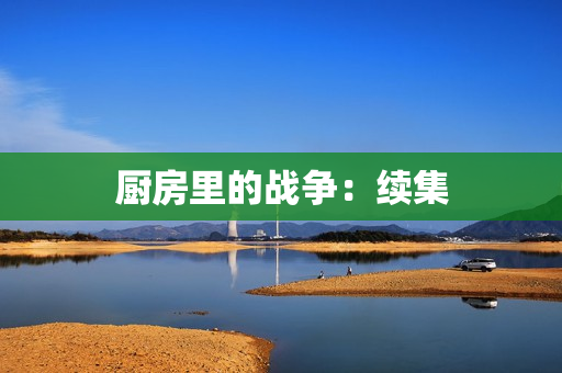 厨房里的战争：续集