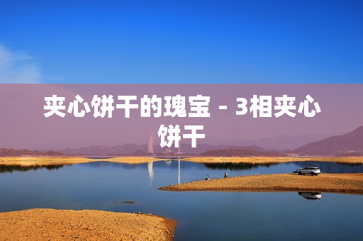 夹心饼干的瑰宝 - 3相夹心饼干