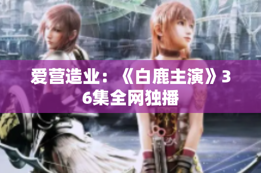 爱营造业：《白鹿主演》36集全网独播